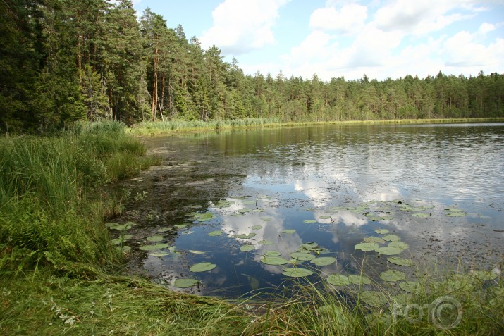 Ezerriekstu meklējot