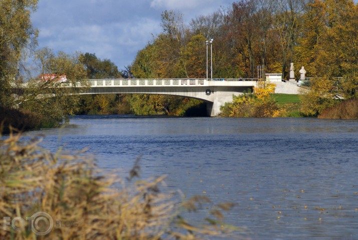 Driksas tilts Jelgavā
