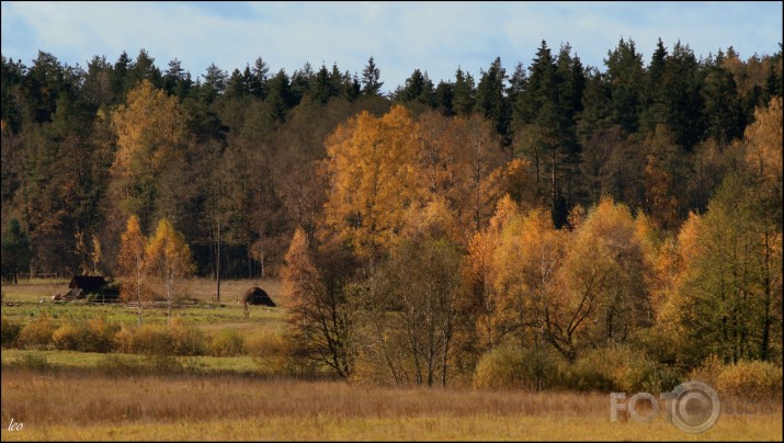 mežmalā