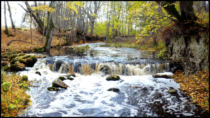 Rudens ūdeņos...