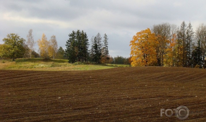 Katrs ieloks krāsām pildīts.