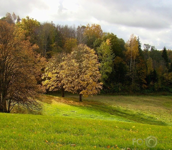 Piesaulītē.