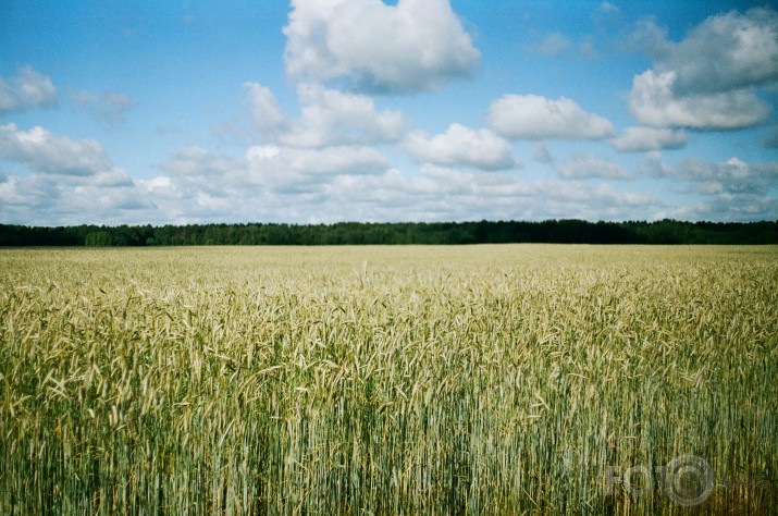Jūnijs Kruspilī