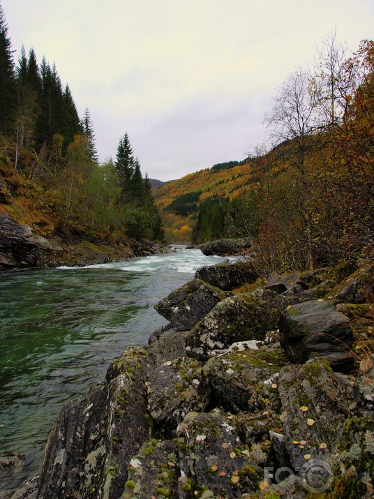 Upe kas plūst caur Vossu.