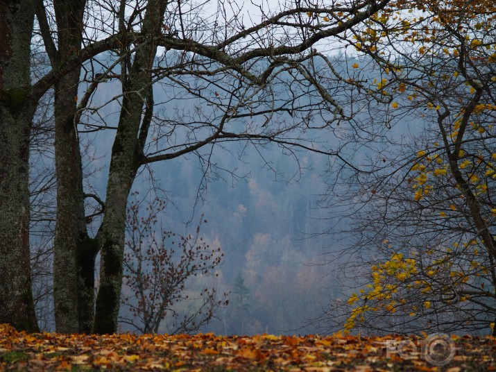 Miglainā Sigulda