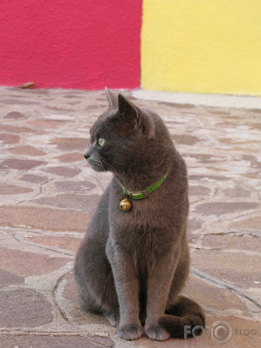 Burano kràsas