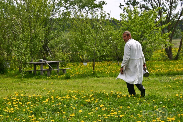 Dravnieks