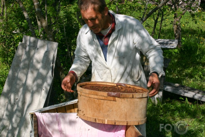 Dravnieks