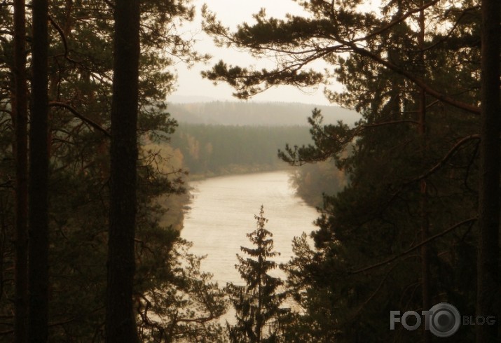 Gauja