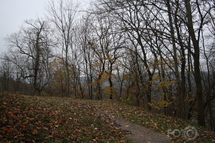 Turaida