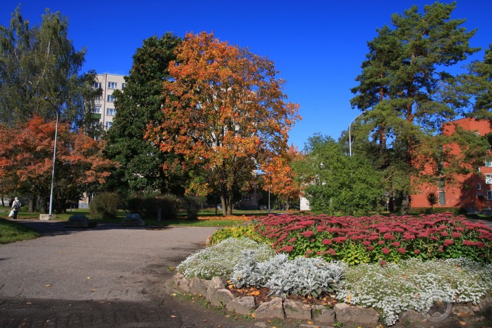 Perfect Autumn day