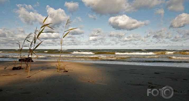 Skopajā rudens saulītē.