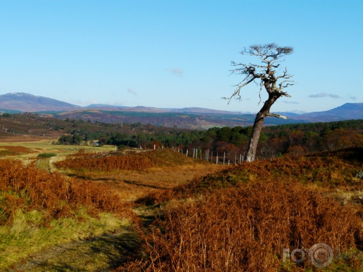 Wilderness of Scotland