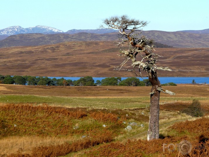 Wilderness of Scotland /2/