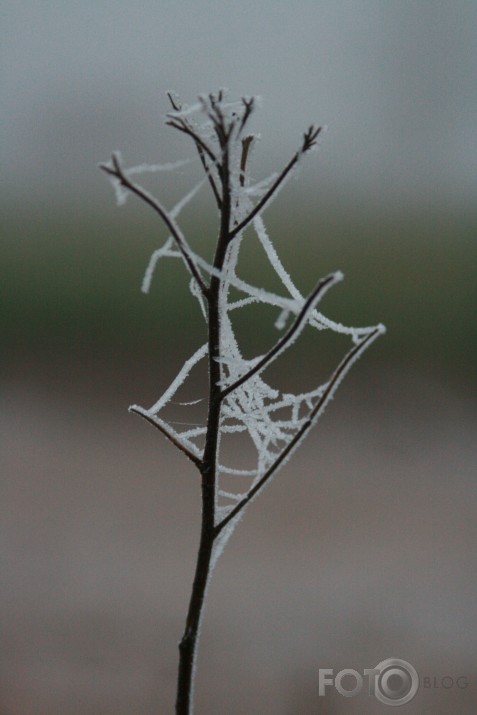 satina, aptina un...sasaldēja