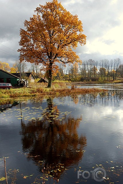 Rudens pastaiga