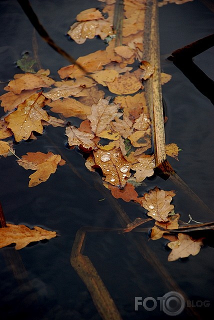 Rudens pastaiga