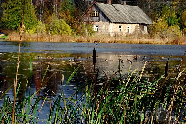 Rudens pastaiga