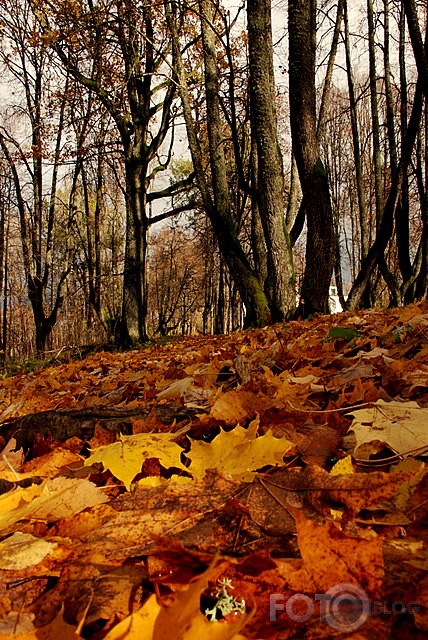 Rudens pastaiga