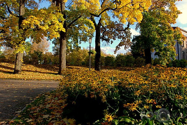 Cēsis rudenī
