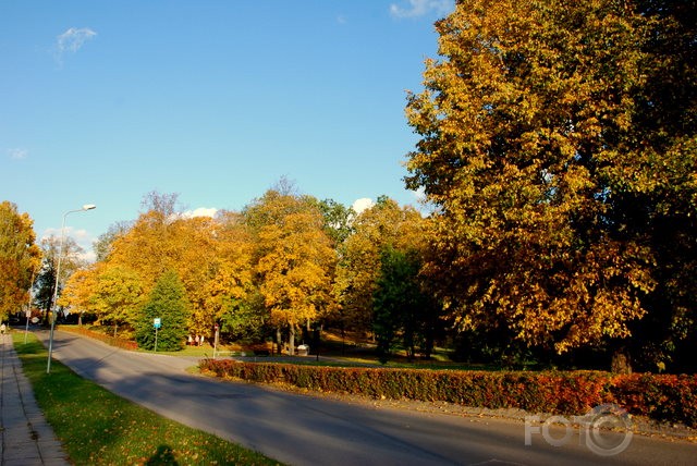 Cēsis rudenī