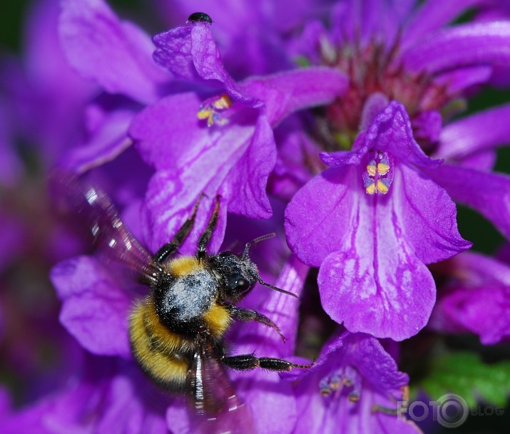 Vai tas lielais man arī kaut ko atstās?