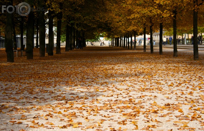 Unter den Linden