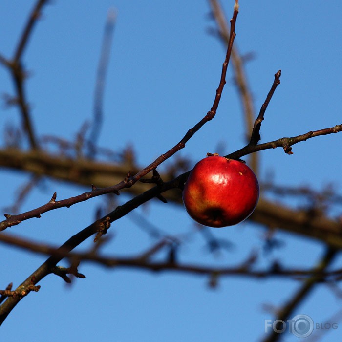 Vēls rudens