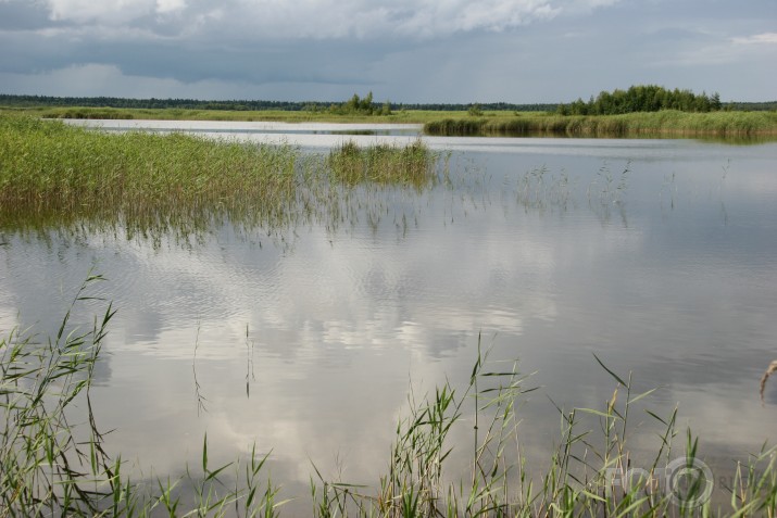 Kaņieris pirms negaisa