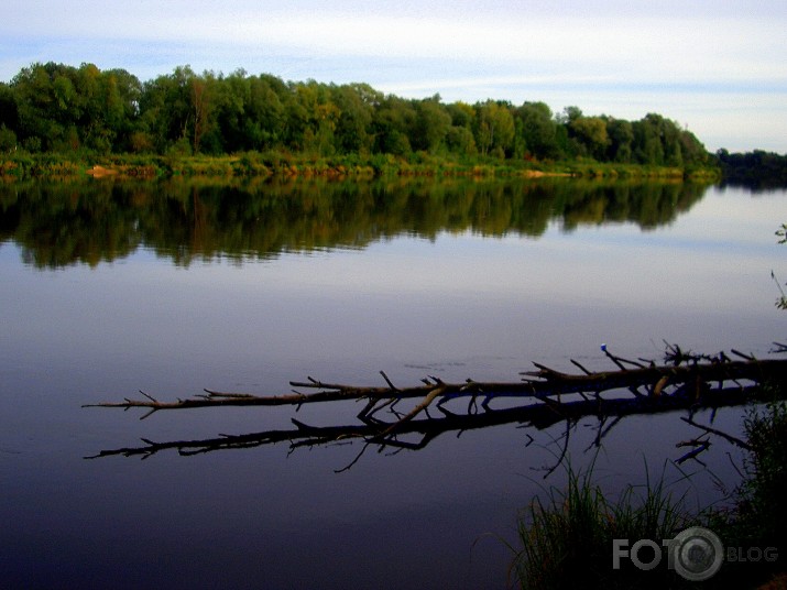 Gauja...