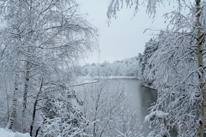 Sniga tējā cukurs balts.