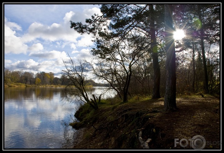 Gauja