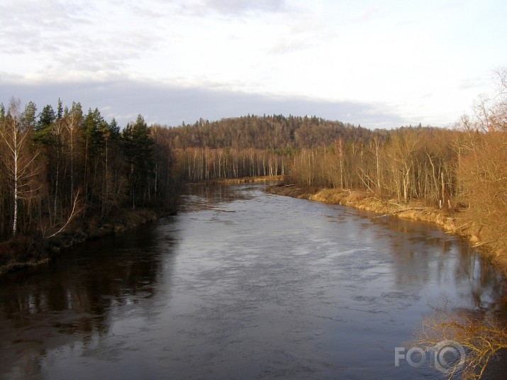 Gauja