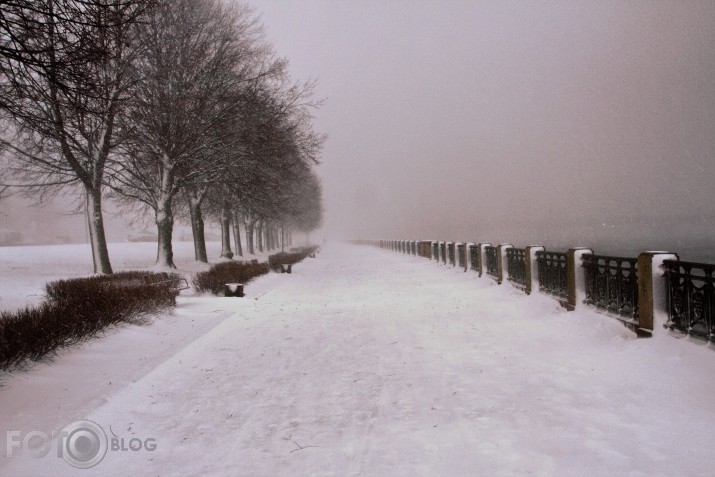 Iepūtienā... (HDR)