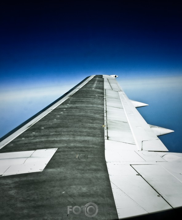 Wings, take me home