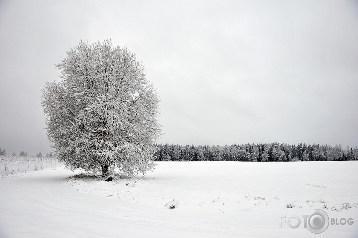 Pārgājiens: Rubene-Valmiera