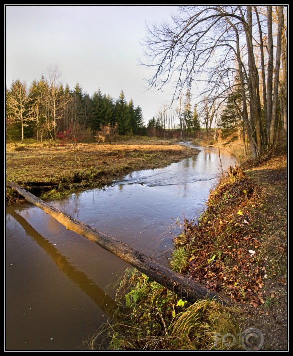 Kārtavu kalns