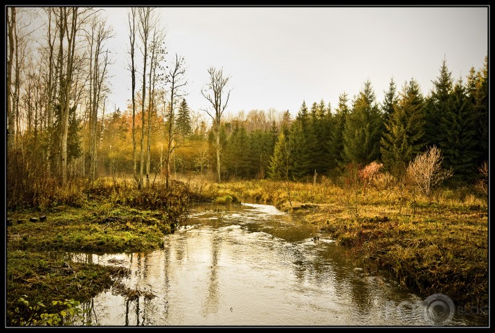 Kārtavu kalns