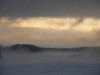 Diena* 08.12.2008.