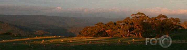 Tasmānijas kalni, lejas un aitas saulrietā