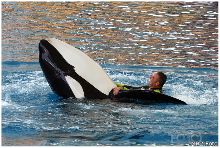 Loro Parque, Puerto de la Cruz, Tenerife, Canary Islands, Spain