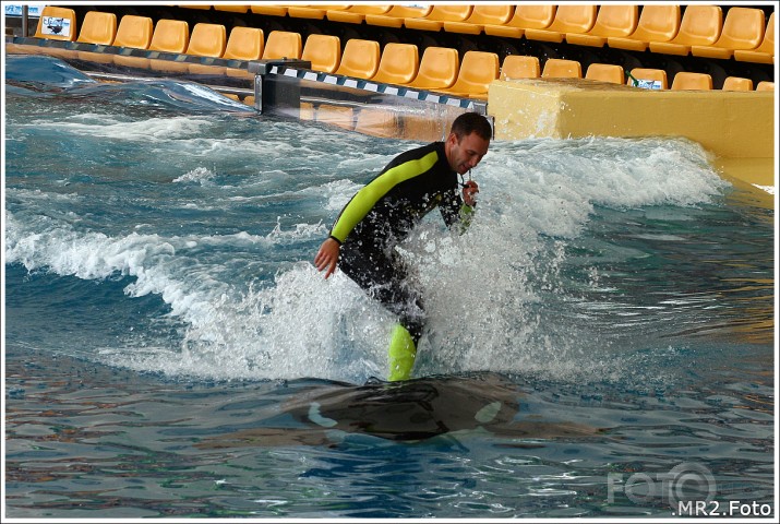 Loro Parque, Puerto de la Cruz, Tenerife, Canary Islands, Spain