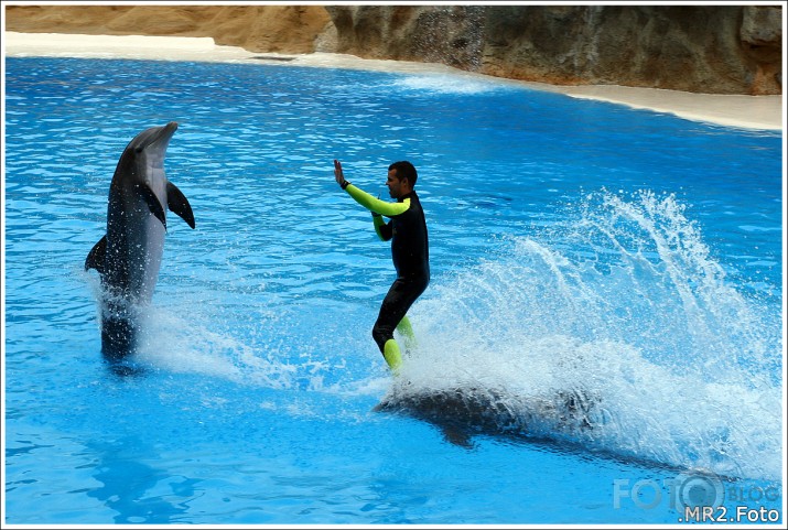 Loro Parque, Puerto de la Cruz, Tenerife, Canary Islands, Spain