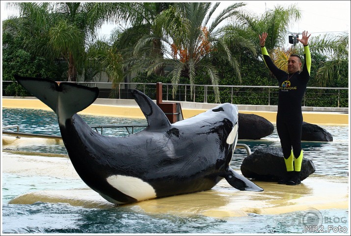 Loro Parque, Puerto de la Cruz, Tenerife, Canary Islands, Spain