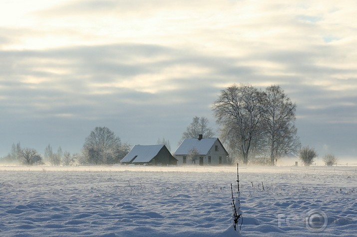 rīta migla