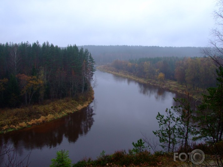 Gauja