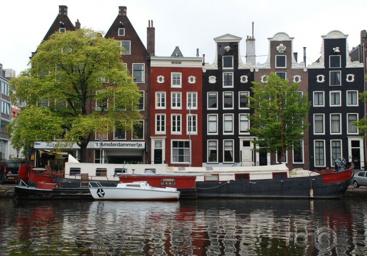 Amsterdama 