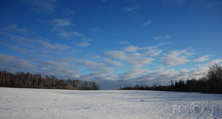 Ziemassvētku rīts