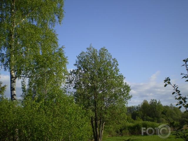 Noskaņas nr.27