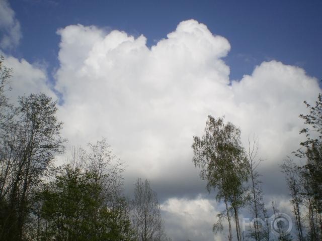 Noskaņas nr.27